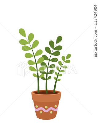 A houseplant in a pot. Zamiokulkas. Garden in the house. Vector. A houseplant in a pot. Zamiokulkas. Garden in the house. Vector. 113424904