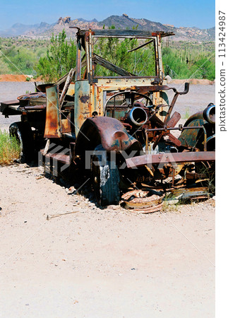 Derelict Abandoned Truck on film Derelict Abandoned Truck on film 113424987