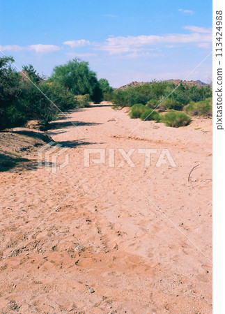 Arizona Desert Arroyo on Film Arizona Desert Arroyo on Film 113424988