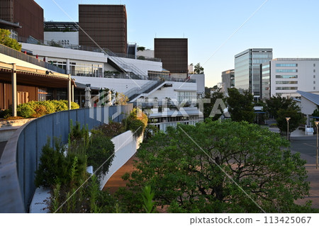 JR辻堂站前的購物中心 113425067