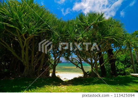 夏季海灘度假勝地風光 夏季海灘度假勝地風光 113425094