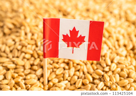 Grains wheat with Canada flag, trade export and economy. Grains wheat with Canada flag, trade export and economy. 113425104