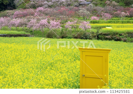 西川花卉公園黃門（高知縣甲南市） 113425581