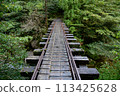 Truck road of Yakushima 113425628