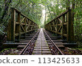 Truck road of Yakushima 113425633
