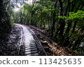 Truck road of Yakushima 113425635