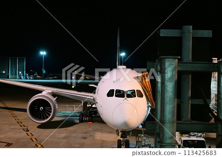 等待離境的飛機 113425683