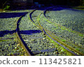 Yakushima dolly road in the early morning 113425821