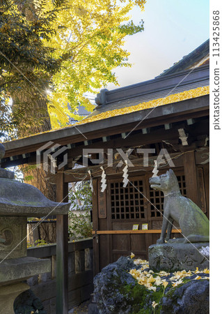 A roof dyed yellow by autumn ginkgo leaves, Taito Ward, Ono Terasaki Shrine 113425868
