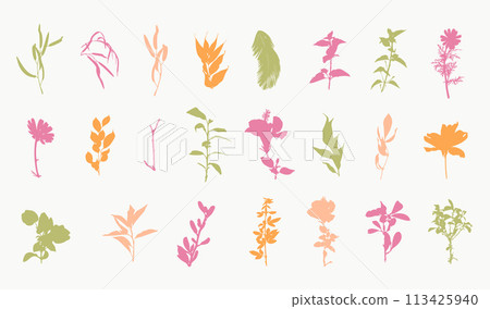 Tropical Floral Silhouettes Set Hand Drawn Plants 113425940