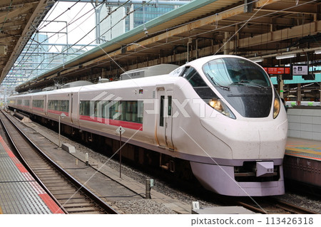 Limited express train E657 Hitachi Tokyo Station 1-chome, Marunouchi, Chiyoda-ku, Tokyo Limited express train E657 Hitachi Tokyo Station 1-chome, Marunouchi, Chiyoda-ku, Tokyo 113426318