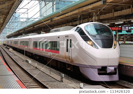 Limited express train E657 Hitachi Tokyo Station 1-chome, Marunouchi, Chiyoda-ku, Tokyo 113426320