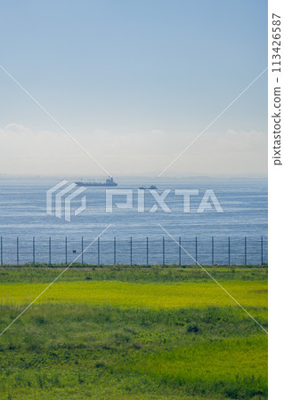 機場飛機 羽田機場 引擎早晨明亮的控制塔航站樓 D 跑道 機場飛機 羽田機場 引擎早晨明亮的控制塔航站樓 D 跑道 113426587