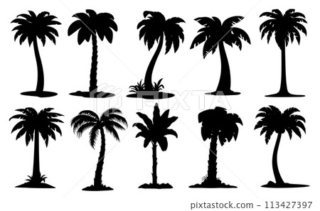 Cartoon jungle coconut and banana palm trees silhouettes, vector icons. Tropical beach or summer paradise island nature or forest of coconut or banana palm trees and exotic plants with leaves 113427397