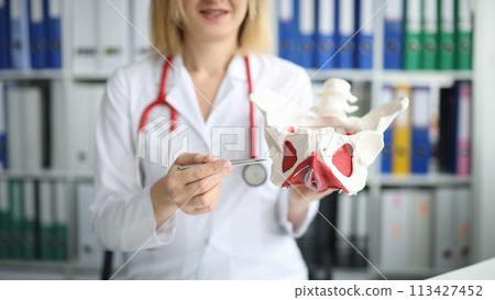 Doctor model of the anatomy of hip joint in clinic 113427452