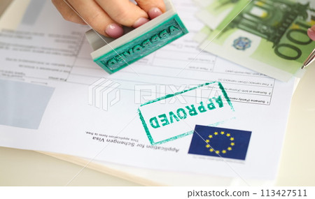 Approved EU visa application and cash euro banknotes 113427511