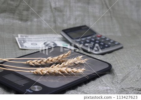 Dry ears on the scales nearby are banknotes, the global food crisis, grain exports, crop growth. 113427623
