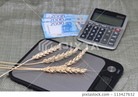 Dry ears on the scales nearby are banknotes, the global food crisis, grain exports, crop growth. 113427632
