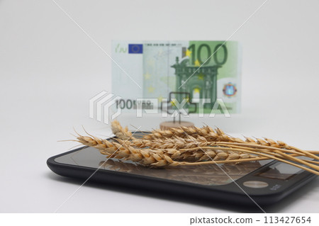 Dry ears on the scales nearby are banknotes, the global food crisis, grain exports, crop growth. Dry ears on the scales nearby are banknotes, the global food crisis, grain exports, crop growth. 113427654