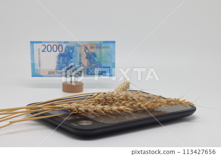 Dry ears on the scales nearby are banknotes, the global food crisis, grain exports, crop growth. 113427656