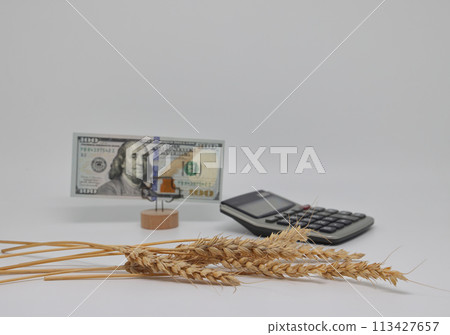 Dry ears nearby are banknotes, the global food crisis, grain exports, crop growth Dry ears nearby are banknotes, the global food crisis, grain exports, crop growth 113427657