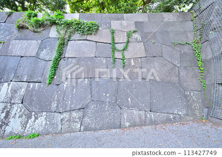東禦苑潮見坂石牆和護城河 113427749
