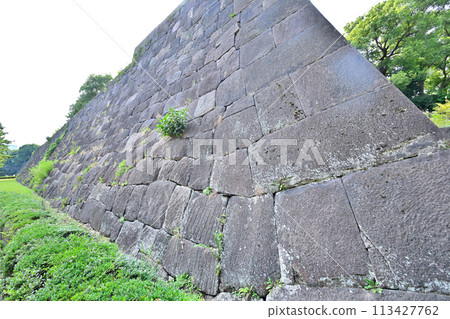 東禦苑潮見坂石牆和護城河 東禦苑潮見坂石牆和護城河 113427762