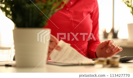 Businesswoman using calculator and financial checks conducts audit 113427770