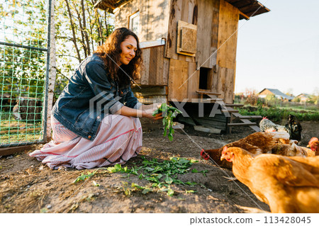 Happy middle aged woman on a private farm feeding chickens. Joyful farmer woman caring for her bird in her backyard in a rustic style, demonstrating an eco-friendly lifestyle. Sustainable lifestyle Happy middle aged woman on a private farm feeding chickens. Joyful farmer woman caring for her bird in her backyard in a rustic style, demonstrating an eco-friendly lifestyle. Sustainable lifestyle 113428045