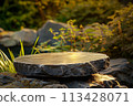 Close-up of a flat stone, rock podium in a natural forest flooded with sunlight. A tranquil stone setting surrounded by foliage and illuminated by forest. esg eco concept 113428071