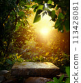 Natural stone podium, rock in natural setting in foliage outdoors, with sun rays. Scenic view of a stone in bright sunlight with green leaves around. 113428081