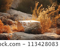 Rocky podium in nature in sunlight, atmospheric natural background, eco concept. A tranquil stone setting surrounded by foliage and sunlit. 113428083