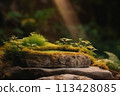 Flat stone pedestal in moss in natural forest, outdoors. Eco Background Concept. Rock podium overgrown with natural plants in the forest 113428085