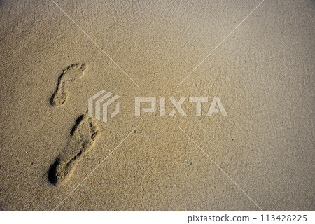 Human footprints in the sand 113428225