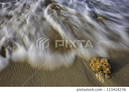 Coral stone on the sea beach 113428236