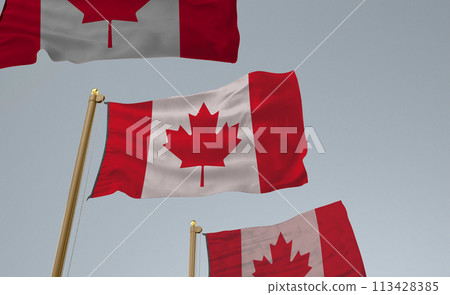 canadian flag with famous maple leaf canadian flag with famous maple leaf 113428385