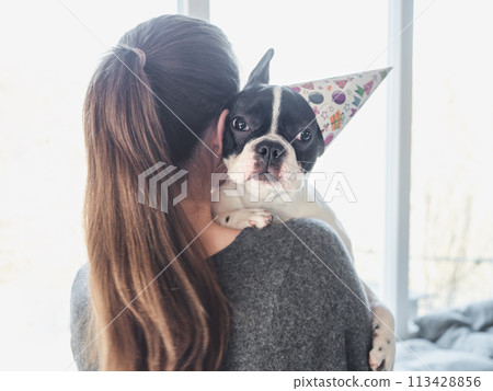 Cute puppy lying on a woman's shoulder Cute puppy lying on a woman's shoulder 113428856