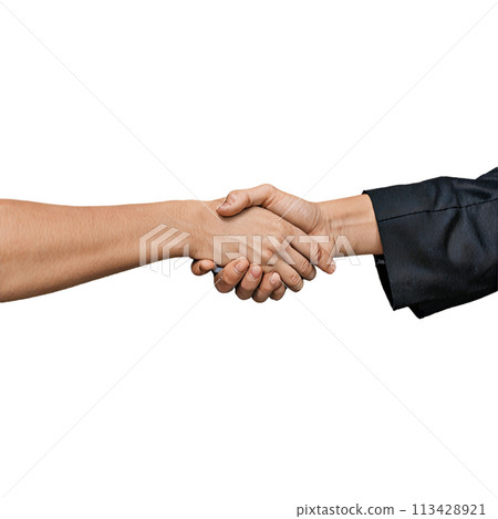 The hand of the businessman shaking hands 113428921