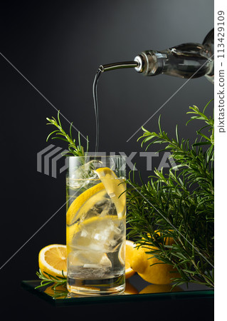 Cocktail gin tonic with ice, lemon, and rosemary. Cocktail gin tonic with ice, lemon, and rosemary. 113429109