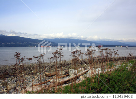 Burrard Inlet and Vancouver, British Columbia, Canada 113429408
