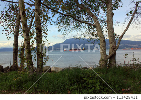 Burrard Inlet and Vancouver, British Columbia, Canada Burrard Inlet and Vancouver, British Columbia, Canada 113429411