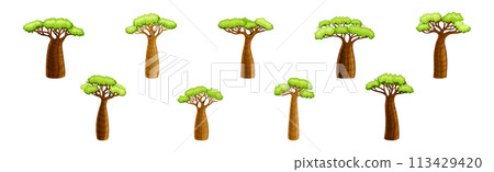African Baobab Tree with Crown and Brown Trunk Vector Set African Baobab Tree with Crown and Brown Trunk Vector Set 113429420