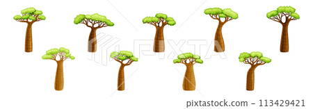 African Baobab Tree with Crown and Brown Trunk Vector Set African Baobab Tree with Crown and Brown Trunk Vector Set 113429421