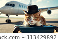 Traveler cat at airport, private jet awaits. Cat adorned with stylish hat sits atop suitcase, evoking sense of companionship in travel. 113429892