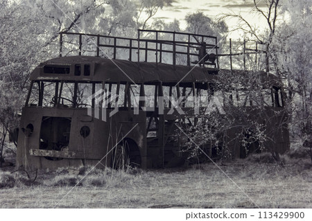 Side view of an abandoned, rusted tour bus in a forest, capture in infrared Side view of an abandoned, rusted tour bus in a forest, capture in infrared 113429900