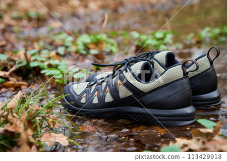 Hiking boots stands on forest floor, submerged in water puddle, surrounded by fallen leaves. Sturdy trekking shoes against a backdrop of forest terrain. Concept of exploration and outdoor activities Hiking boots stands on forest floor, submerged in water puddle, surrounded by fallen leaves. Sturdy trekking shoes against a backdrop of forest terrain. Concept of exploration and outdoor activities 113429918
