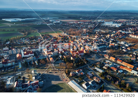 Panorama of small town with living buildings. Aerial view of European suburban neighborhood. Real estate in Poland 113429920