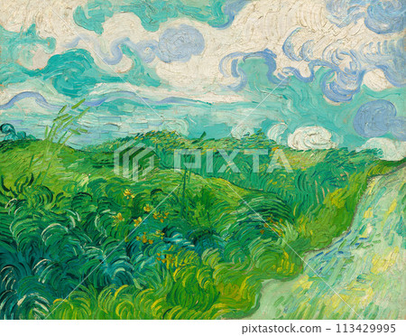 Green Wheat Fields, Auvers by Vincent van Gogh, 1890 113429995