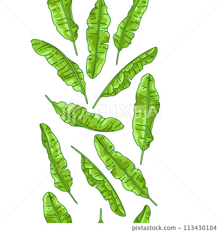 Pattern with banana palm leaves. Decorative image of tropical foliage and plants. 113430184