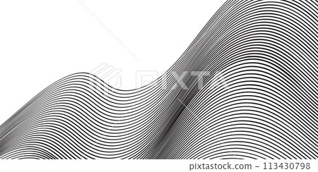 vector Illustration of the pattern of black lines on white background.  113430798